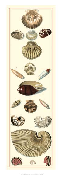 Studies in Symmetry Panel I