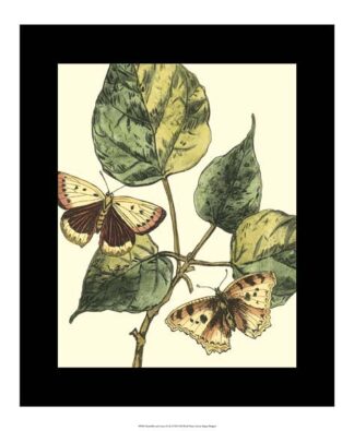 Butterflies & Leaves II