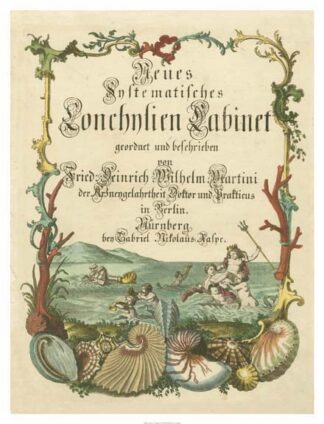 Cabinet of Conchology