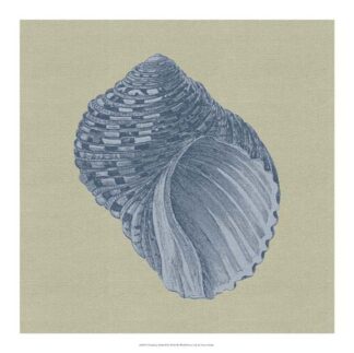 Chambray Shells III