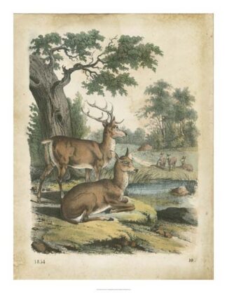 Nature's Gathering IV