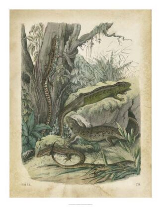 Nature's Gathering V