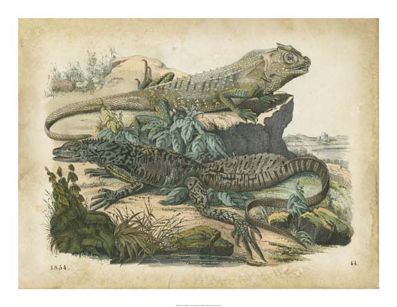 Nature's Gathering VI