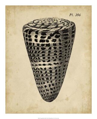 Vintage Diderot Shell I