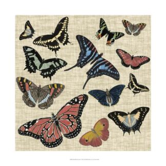 Butterflies & Linen I