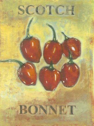 Scotch Bonnet