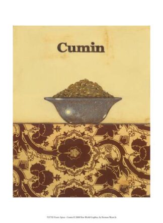 Exotic Spices - Cumin