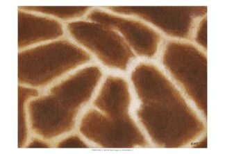 Giraffe I