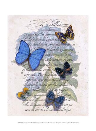 Hydrangea Butterflies I