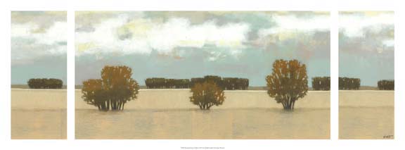 Panoramic Scent of Rain