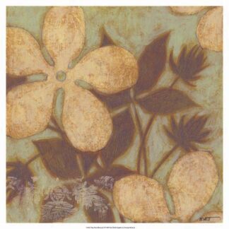 Time Worn Blossoms I