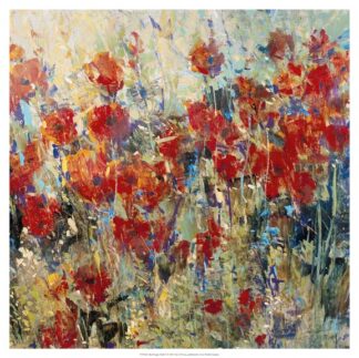 Red Poppy Field II