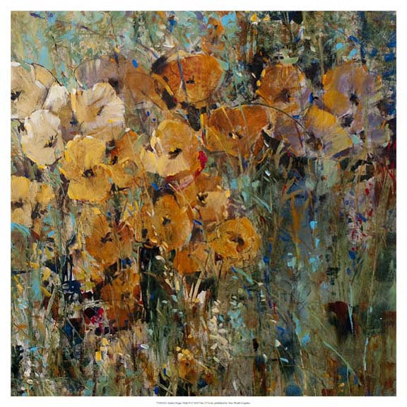 Amber Poppy Field II