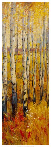 Vivid Birch Forest II