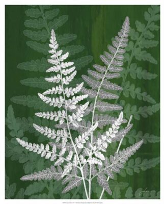 Jewel Ferns IV