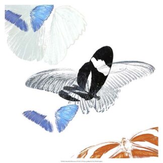 Butterfly Inflorescence I