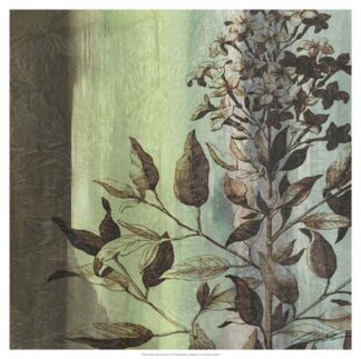 Painted Botanical IV