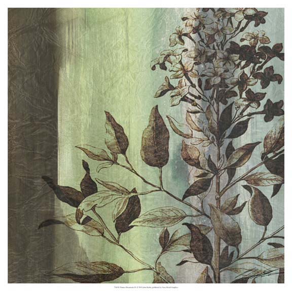 Painted Botanical IV