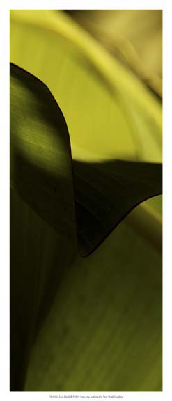 Leaf Detail II