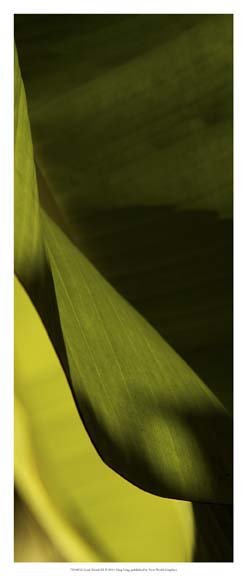 Leaf Detail III