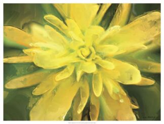 Painterly Flower VII