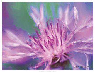 Painterly Flower VIII