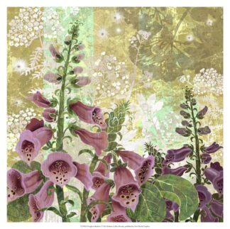 Foxglove Meadow I