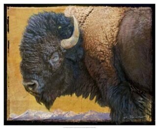 Bison Portrait III