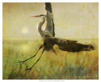 Foggy Heron II