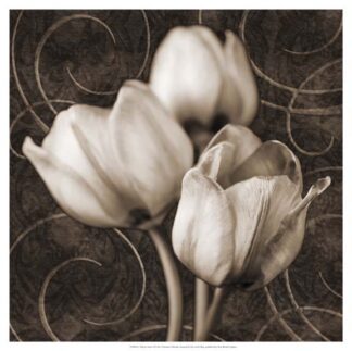 Tulip & Swirls I