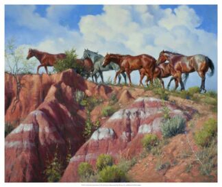 Colored Clay & Quarterhorses
