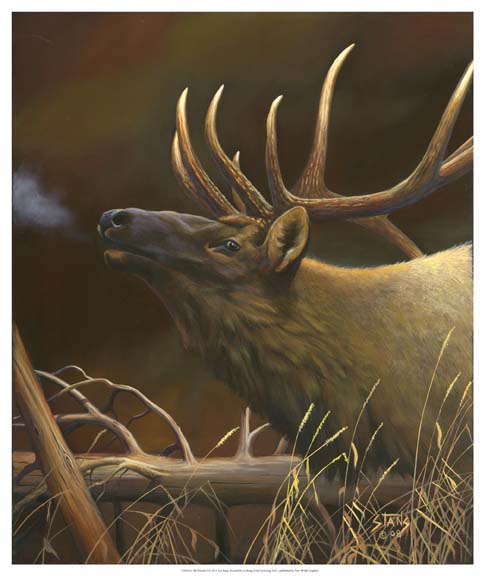 Elk Portrait I