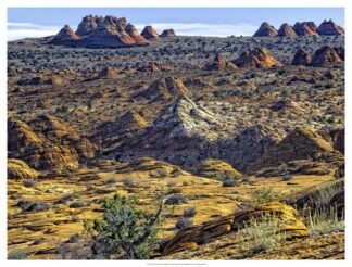 View from Coyote Buttes