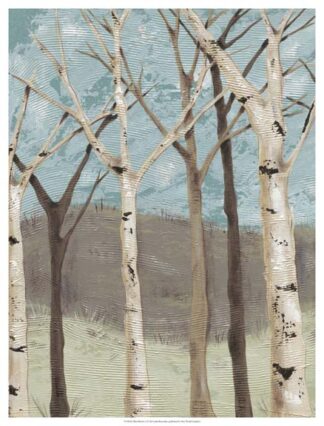 Blue Birches I