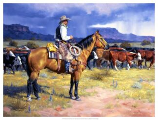 Great American Cowboy