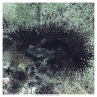 Coral & Jelly Fish I