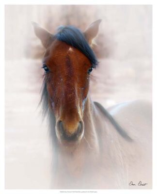 Horse Portrait I