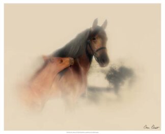 Horse Portrait X