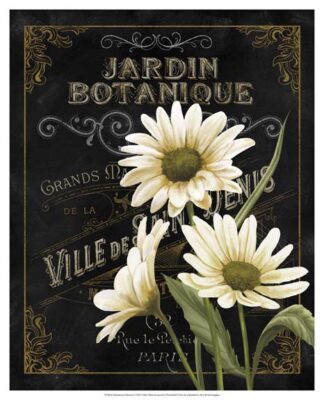 Botanical Collection I