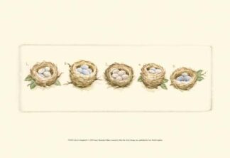 Life of a Songbird V