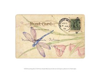 Postcard Dragonfly II