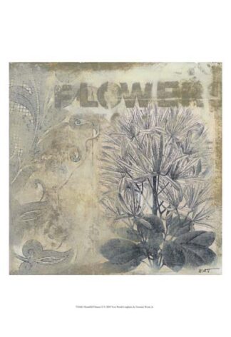 Beautiful Flowers II