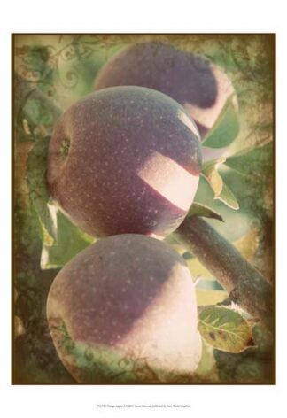 Vintage Apples I