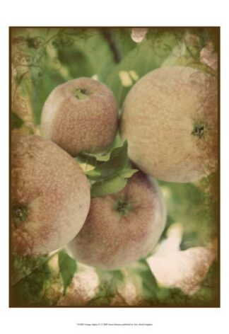 Vintage Apples IV