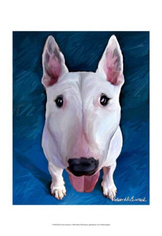 Bull Terrier Bronson
