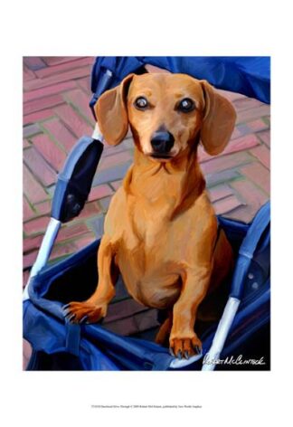 Daschund Drive Through