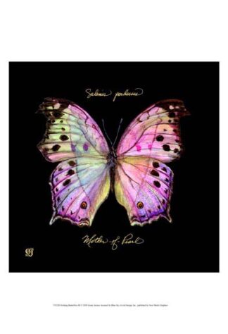 Striking Butterfly III