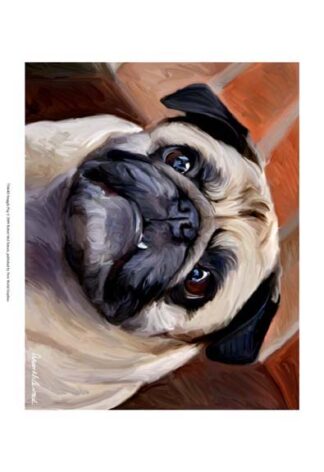 Snaggle Pug