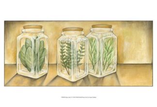 Spice Jars I