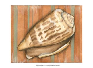 Shell on Stripes III